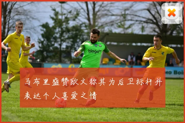 马布里盛赞欧文称其为后卫标杆并表达个人喜爱之情