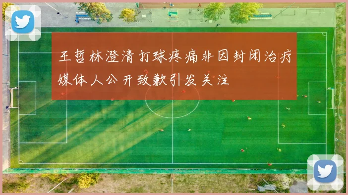 王哲林澄清打球疼痛非因封闭治疗媒体人公开致歉引发关注